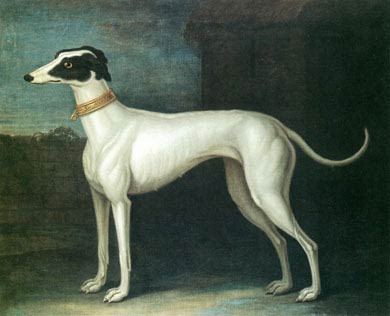 Greyhound Painting