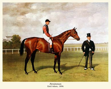 Persimmon, 1896