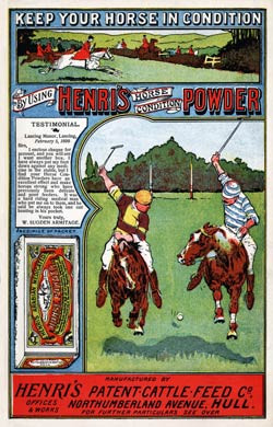 Henris Horse Condition Powder