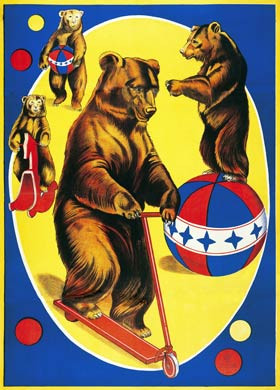 Circus Bears