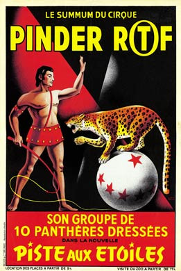 Pinder RTF Circus