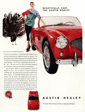 Austin Healey Sports, 1956