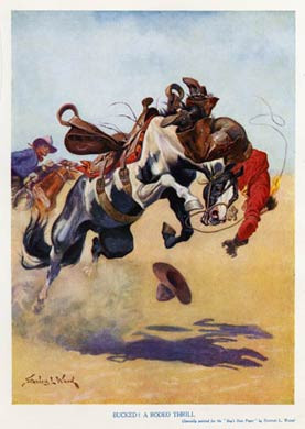 Bucked, A Rodeo Thrill