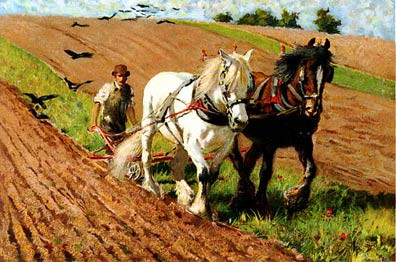 Horse-Drawn Plough