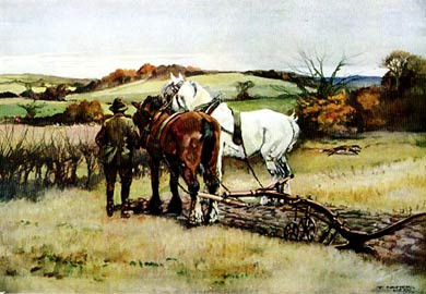 End Of The Furrow