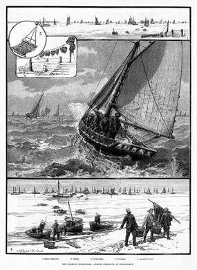 Oysters at Whitstable, 1883