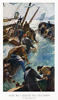 How We Caught The Pilchards