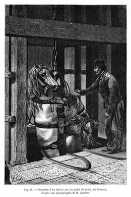 Pit Pony Descends, 1866