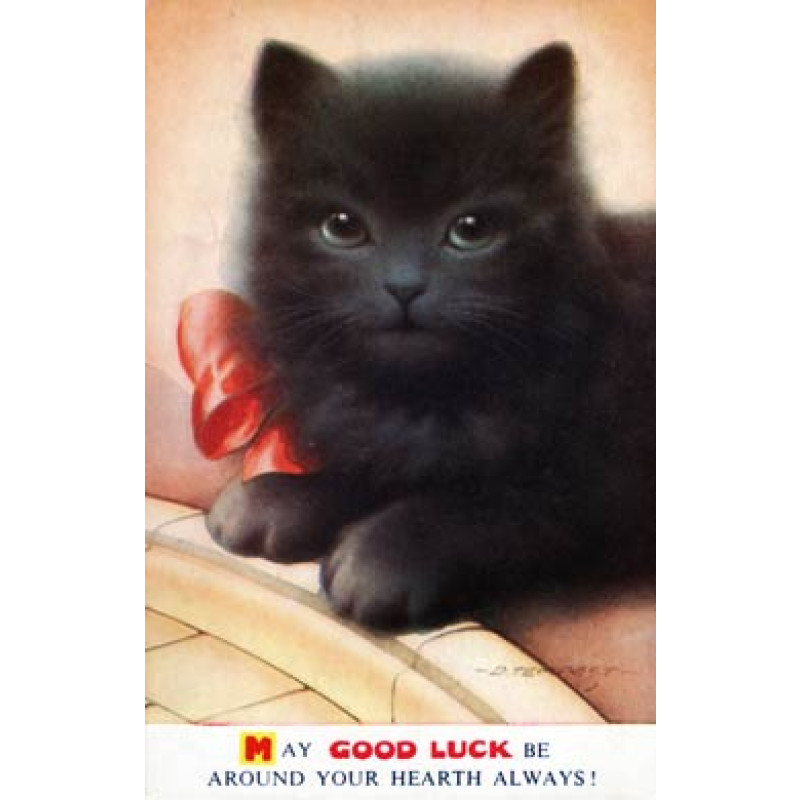 Good Luck Cat