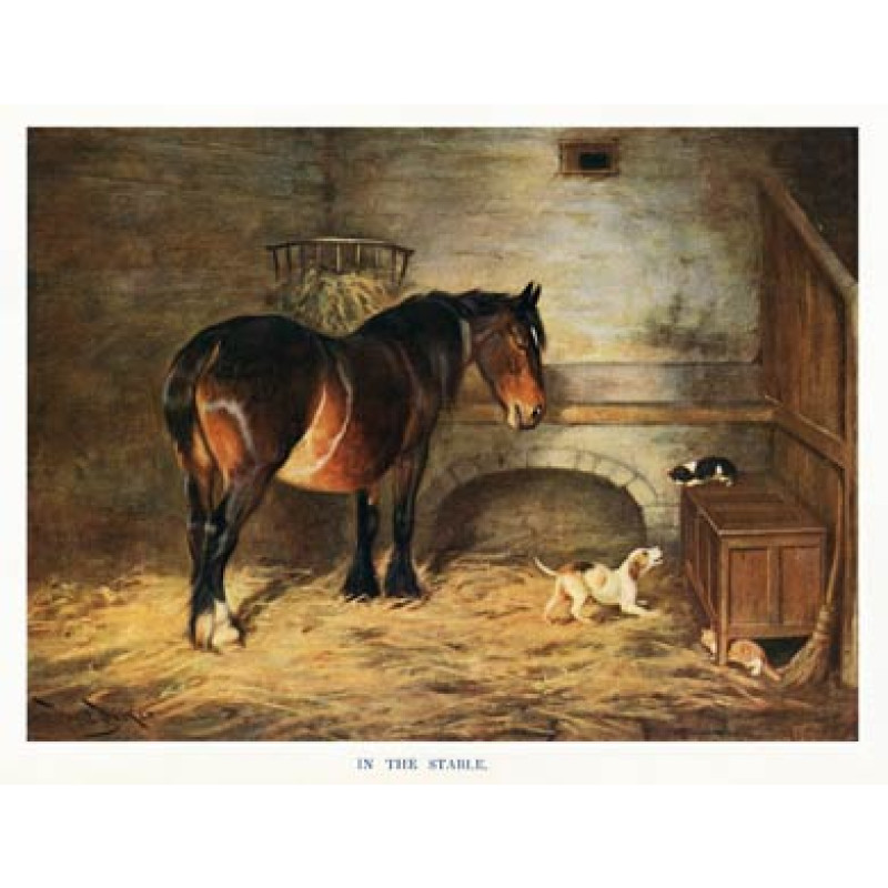 In The Stable