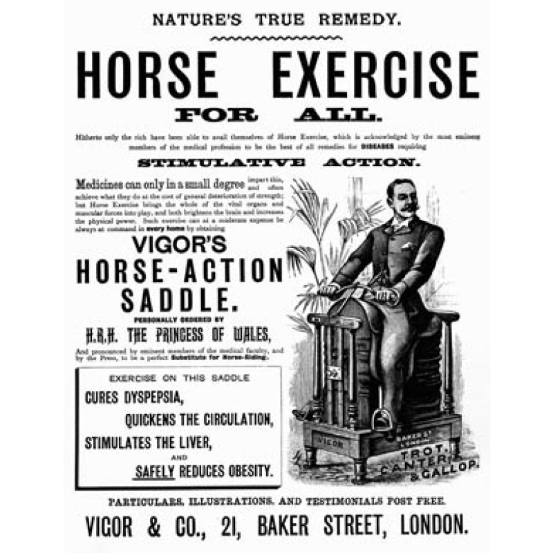 Horse Exercise For All
