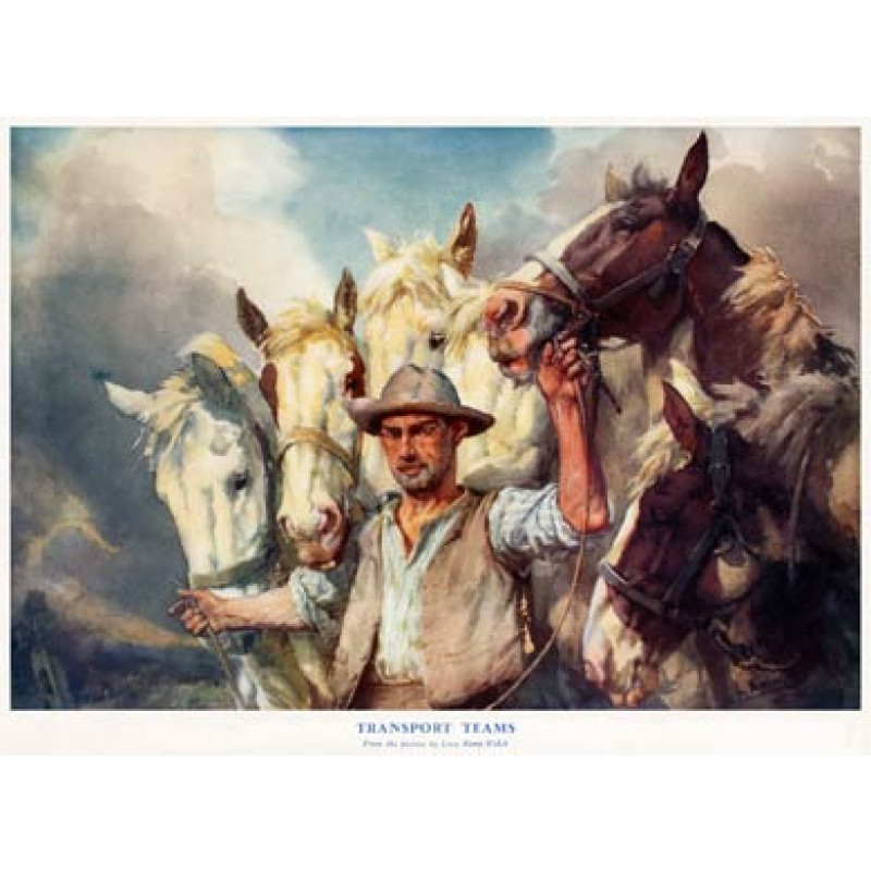 Transport Teams