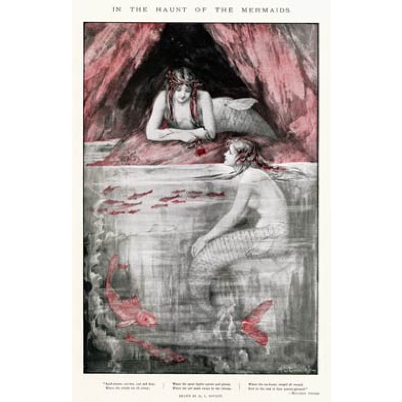 The Haunt Of The Mermaids