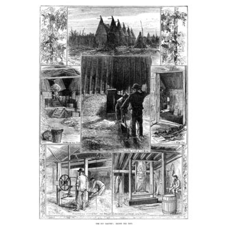 The Hop Harvest, 1874