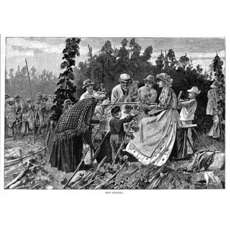 Hop Pickers