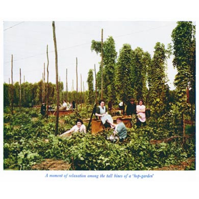 Hop Pickers at Rest