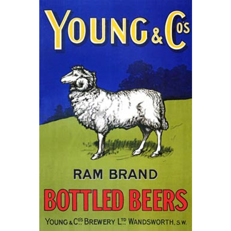 Young & Co Brewery, 1905