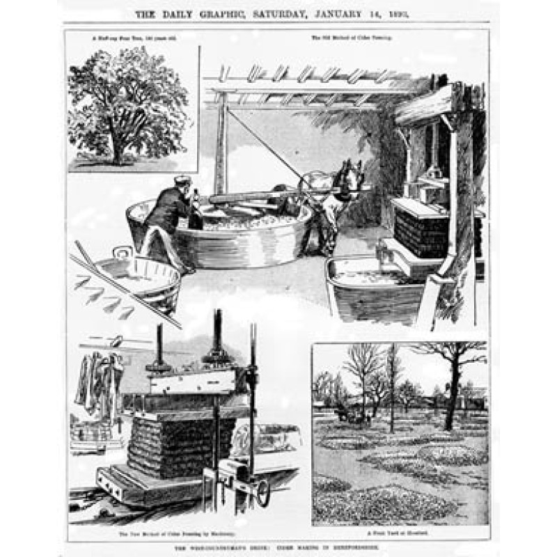Cider Making in Hereford