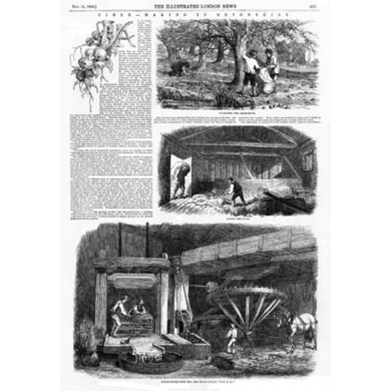 Cider-Making In Devonshire