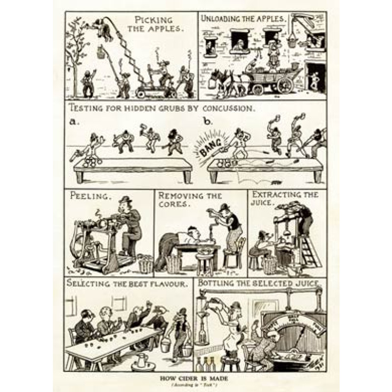 How Cider Is Made