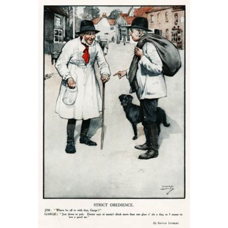 Doctor's Orders