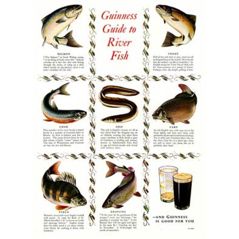 Guinness, River Fish