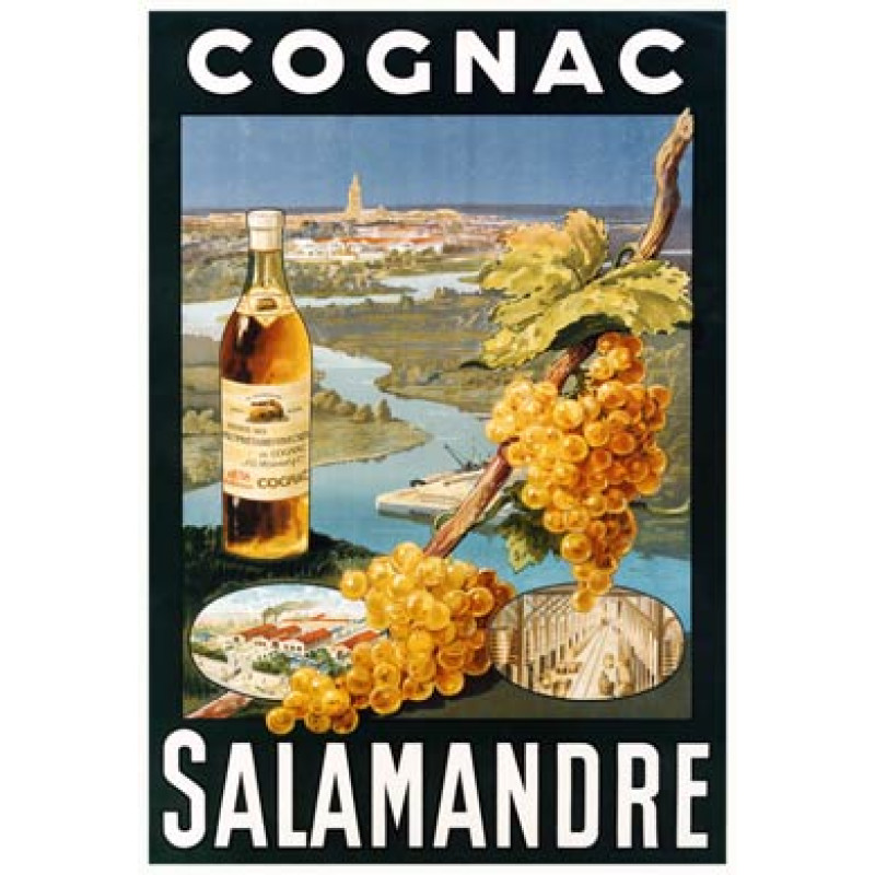 Cognac Salamandre