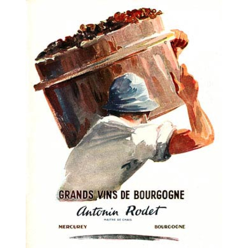 Antonin Rodet, Vins de Burgogne