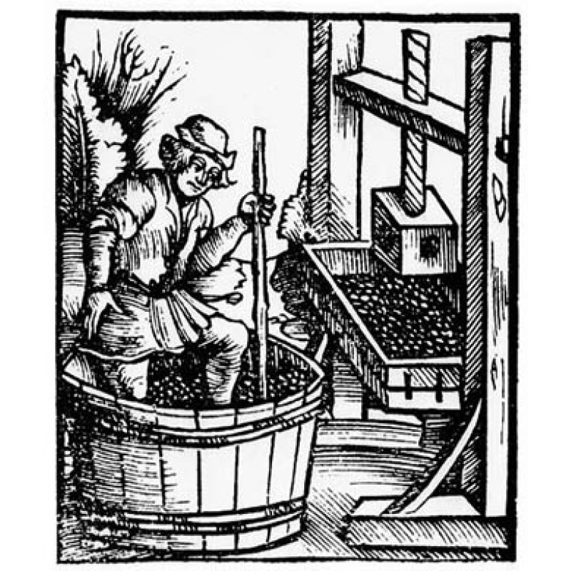 Medieval Wine Making