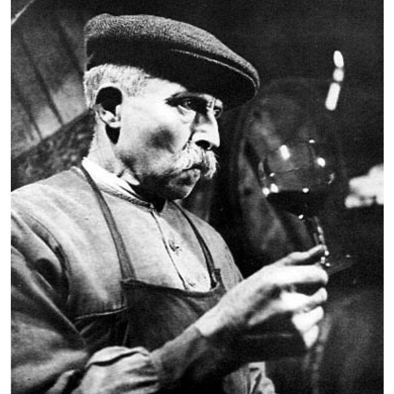 The Wine Taster