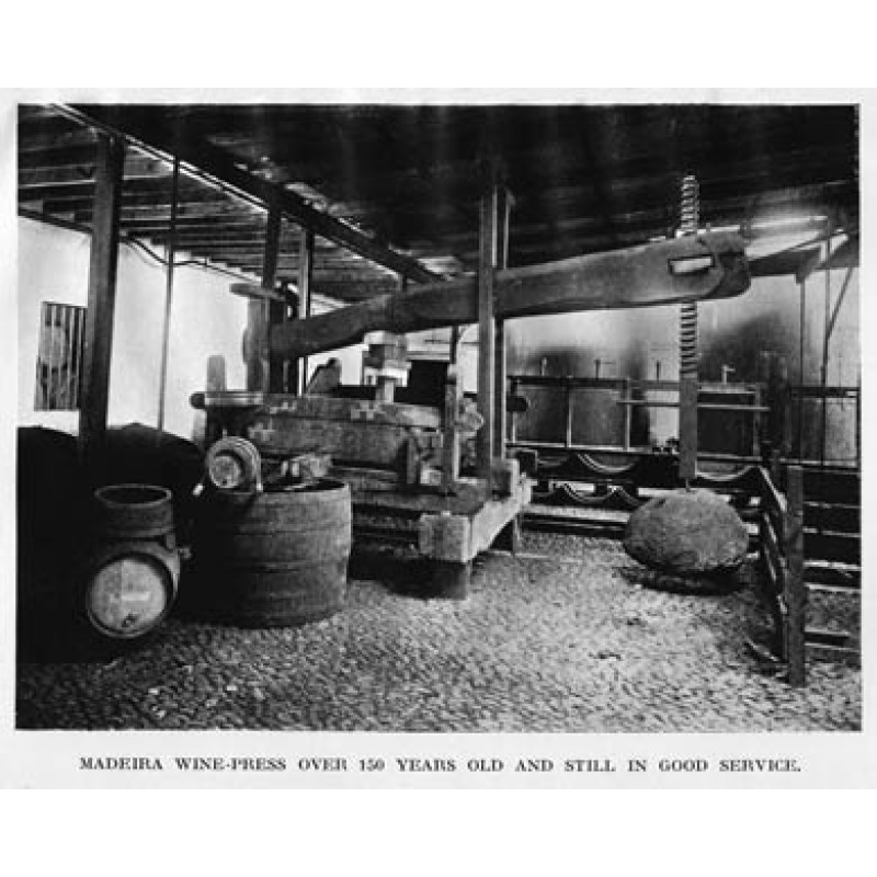 Madeira Wine Press