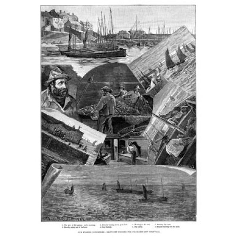Cornish Pilchard Fishing, 1883