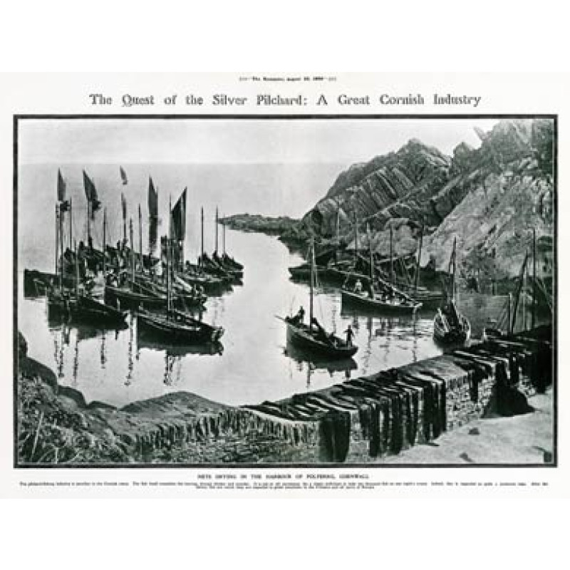 Polperro Pilchard Fleet, 1909