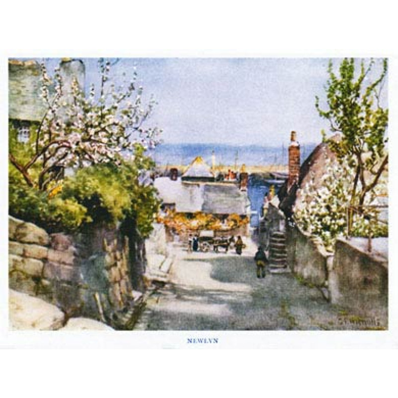 Newlyn Street Scene