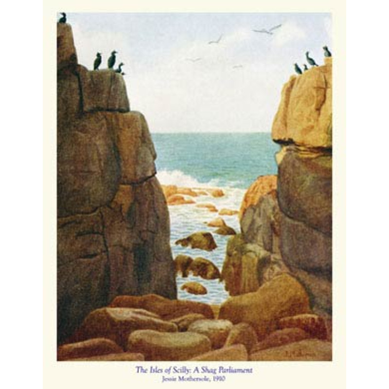 Scilly, A Shag Parliament