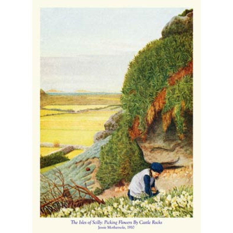 Scilly, Picking Flowers By Castle Rocks