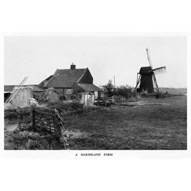 Norfolk Marshland Farm