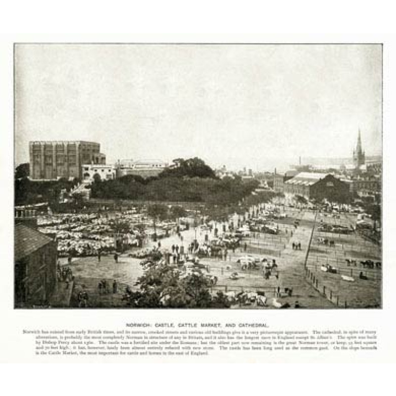 Norwich, Castle & Market