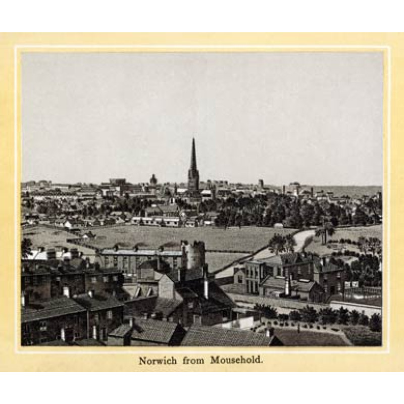 Norwich, from Mousehold
