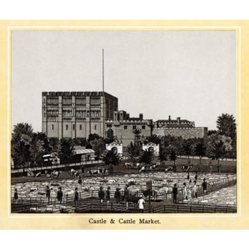 Norwich, Castle & Cattle Market