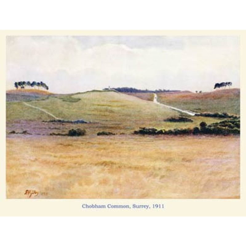 Chobham Common, 1911