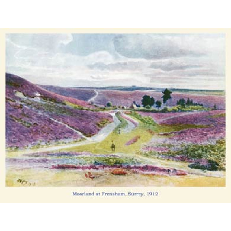 Moorland at Frensham, 1912