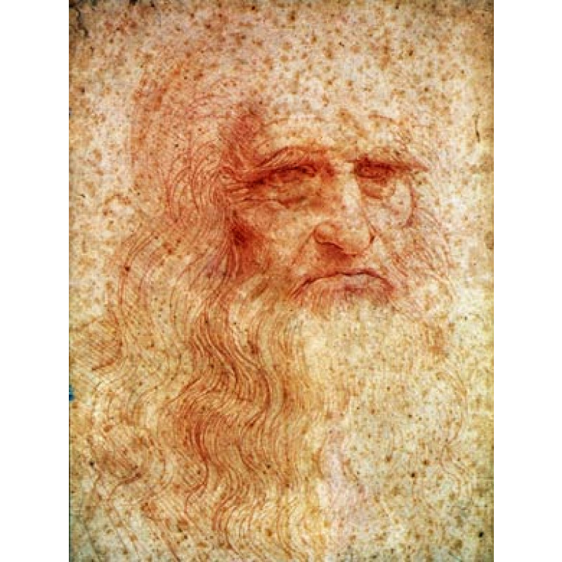 Da Vinci, Self Portrait