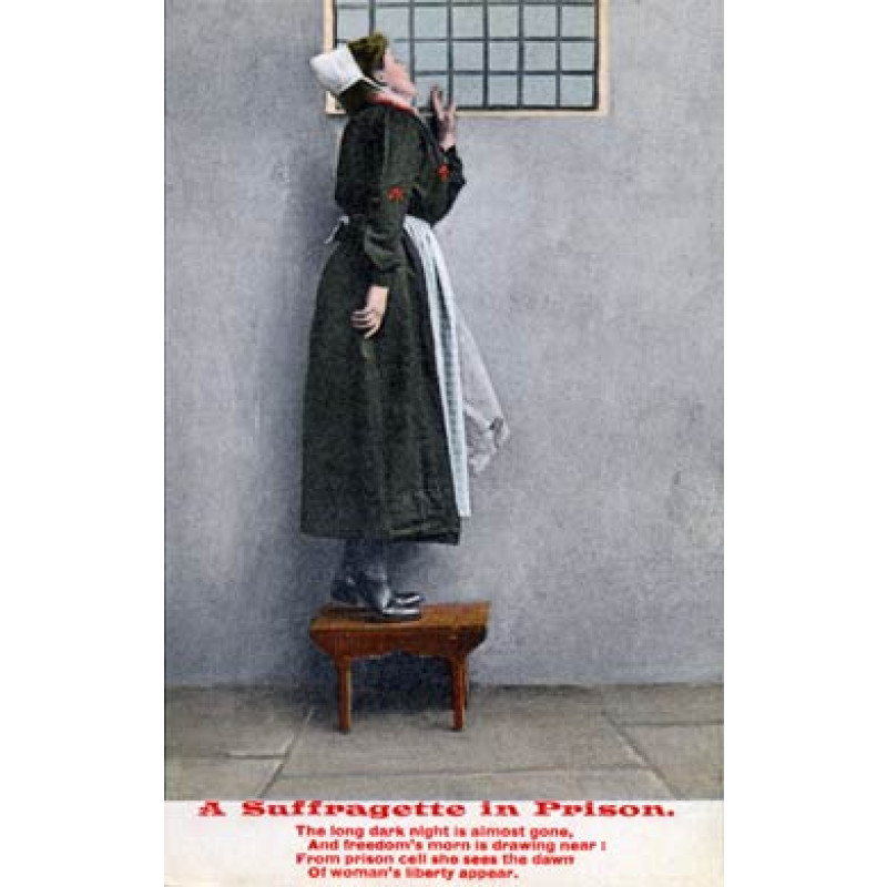 A Suffragette in Prison