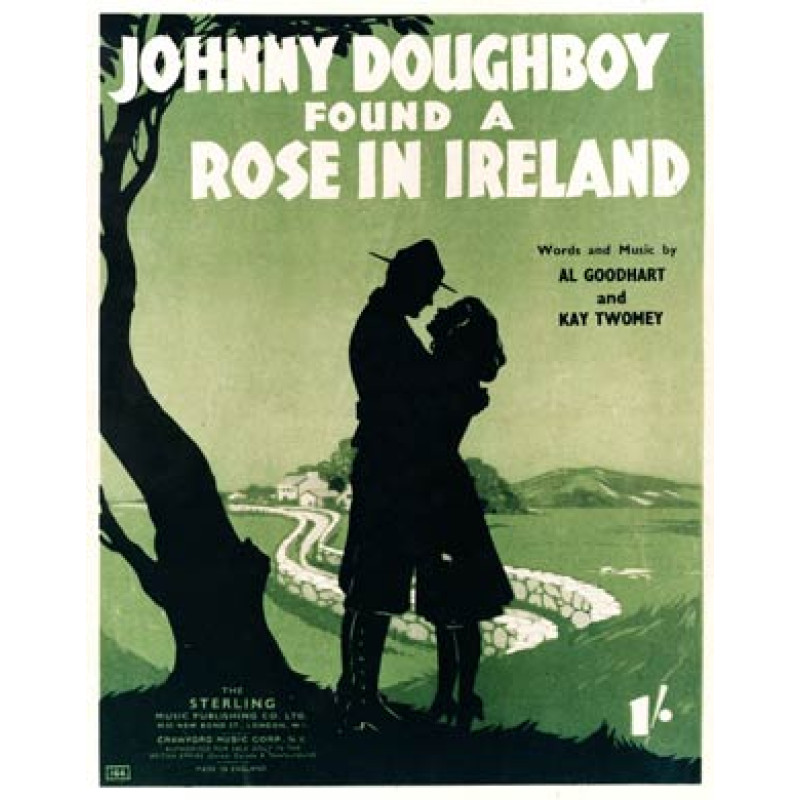 Rose In Ireland