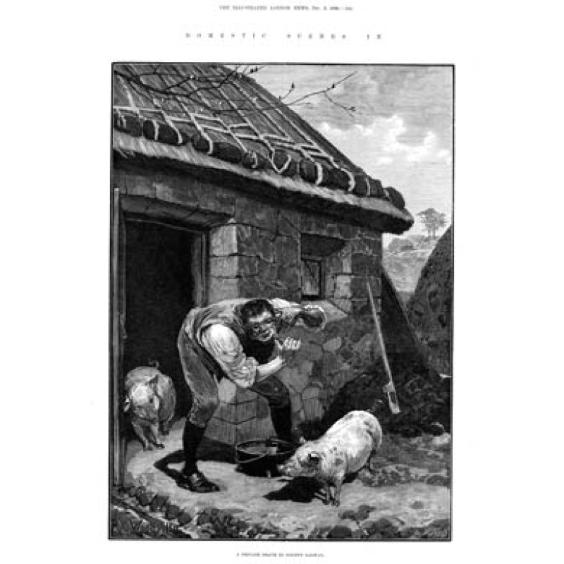 A Private Shave In Galway