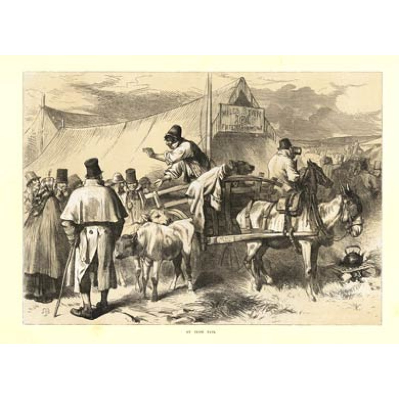 Irish Fair, 1872