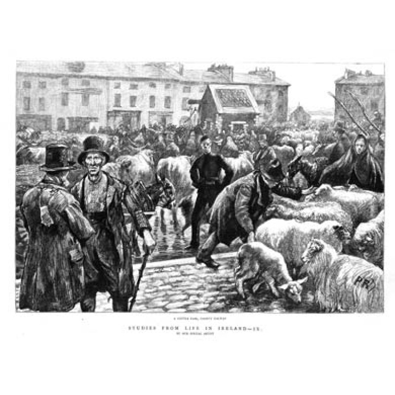 Galway Cattle Fair, 1888
