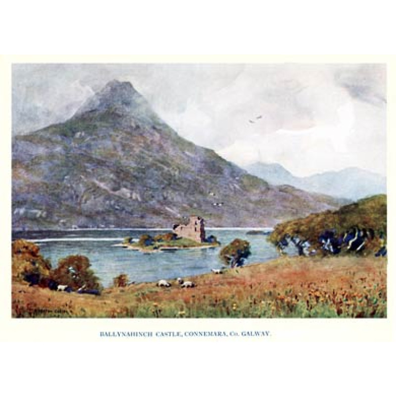 Ballynahinch Castle, Connemara, Galway
