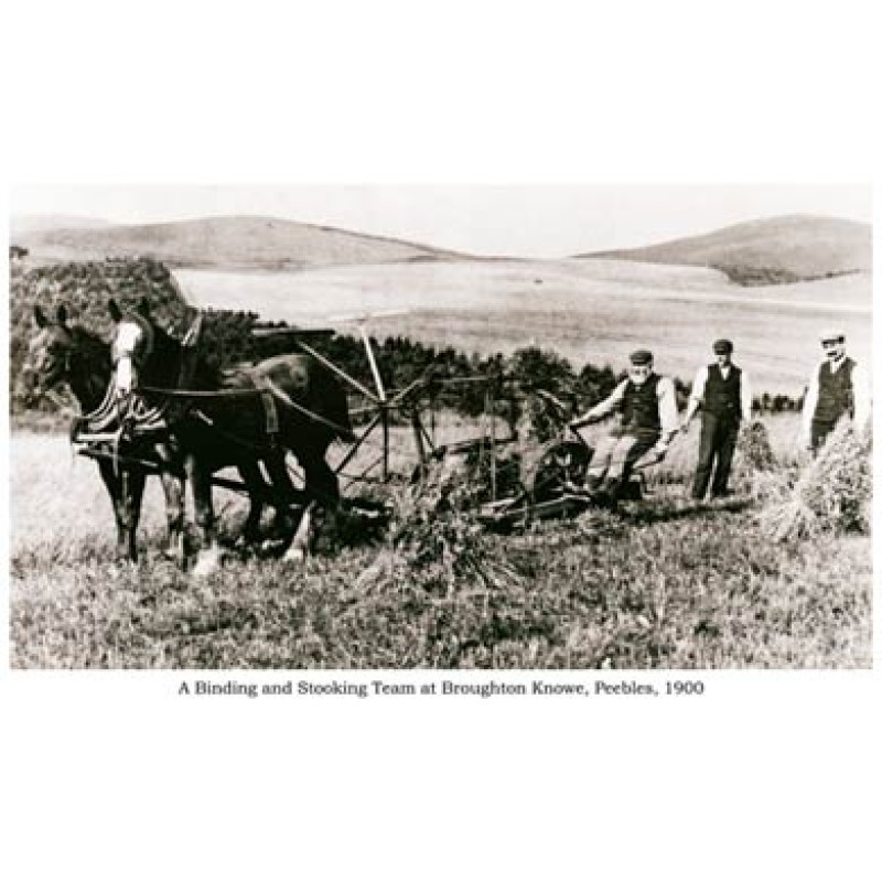 Binding and Stooking, Peebles, 1900